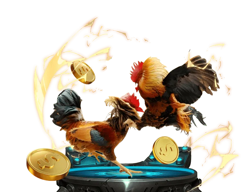 Khuyến mãi ty phu 88